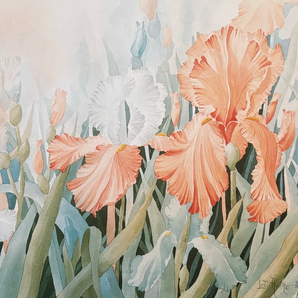 Artist Signed - Limited Edition Floral Art Print